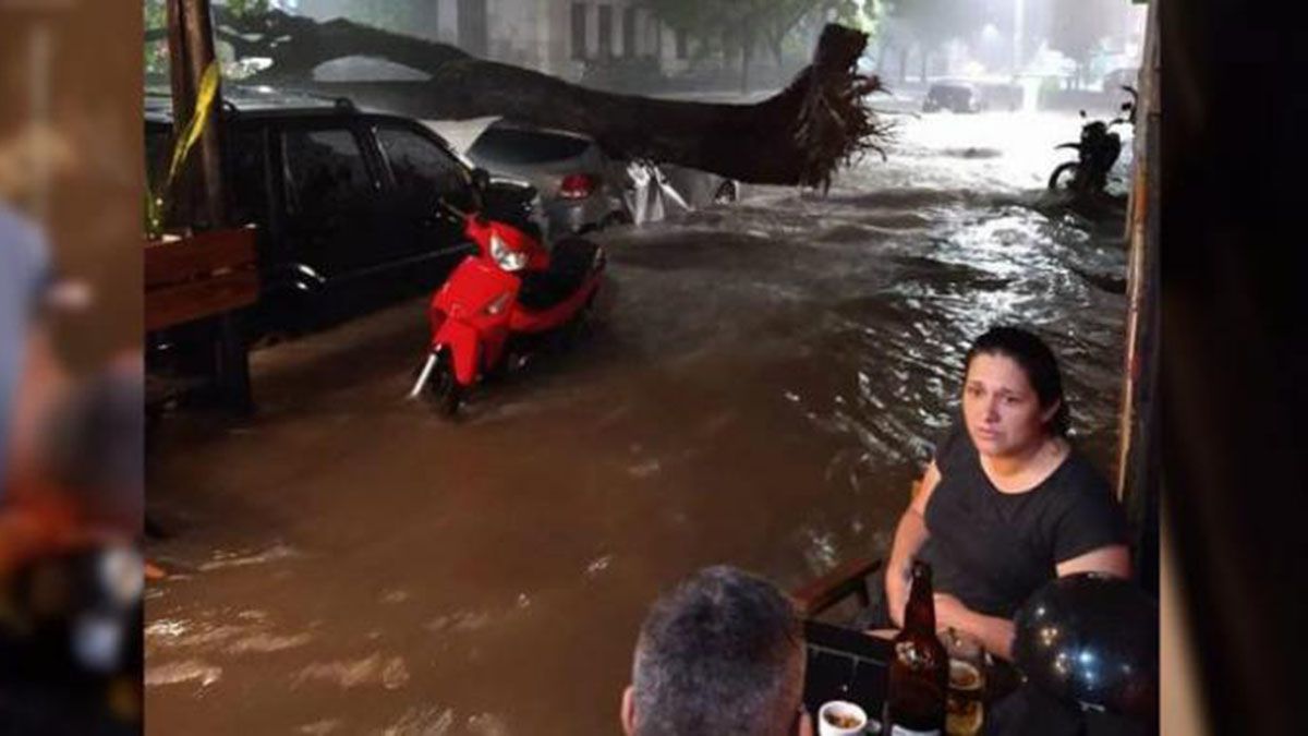La pareja tucumana ni se inmutó con el temporal ni el árbol que aplastó a un auto.&nbsp;