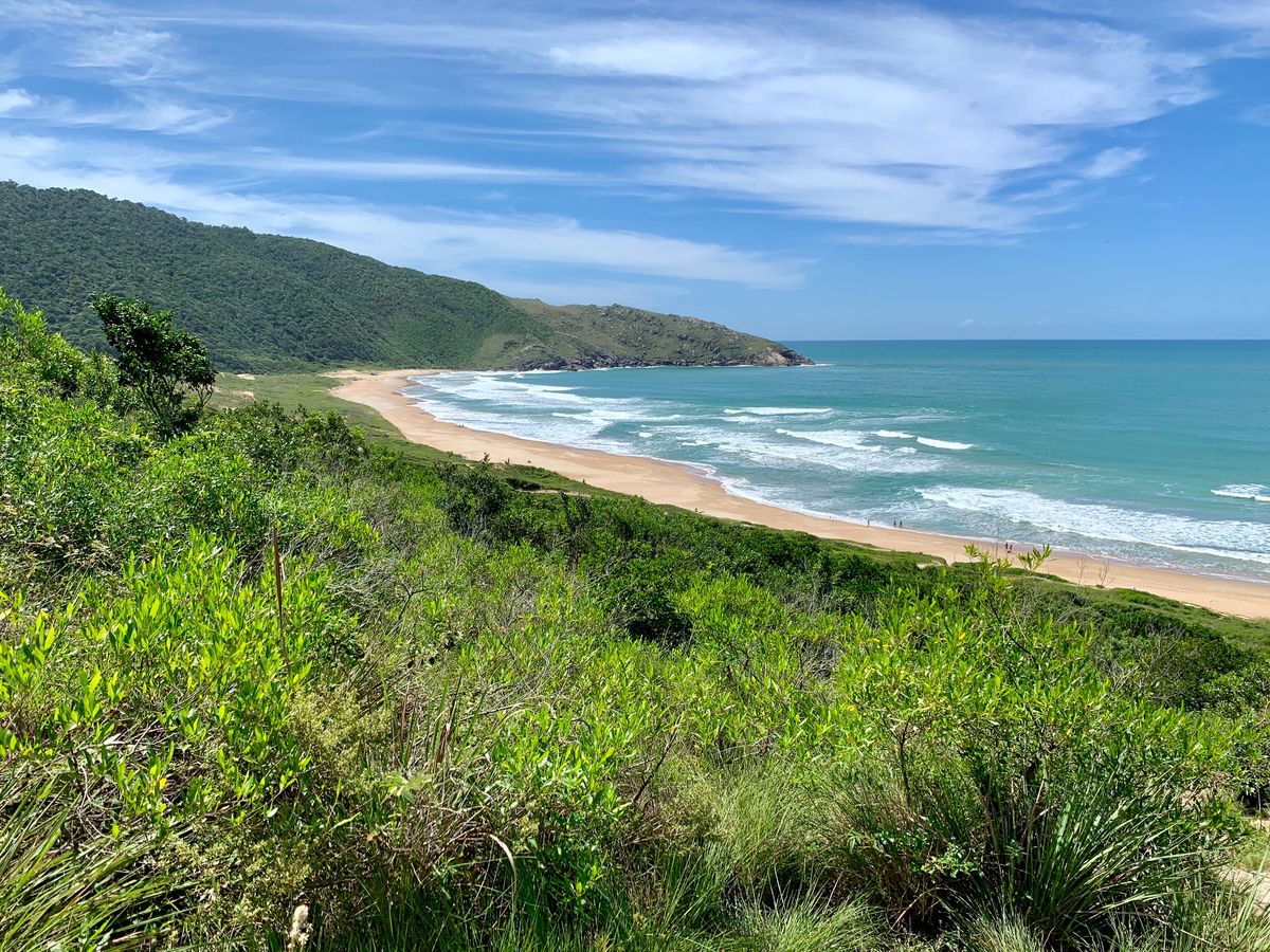 Esta playa está ubicada en la isla de Santa Catarina, en Florianópolis. Esta playa está ubicada en la isla de Santa Catarina, en Florianópolis.