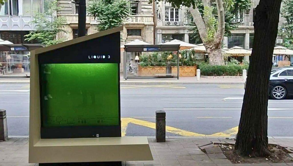 Su diseño integra un tanque de vidrio dentro de una estructura urbana que también sirve como banco y ofrece servicios adicionales, como puertos de carga para dispositivos electrónicos. Fuente: Economía Sustentable Su diseño integra un tanque de vidrio dentro de una estructura urbana que también sirve como banco y ofrece servicios adicionales, como puertos de carga para dispositivos electrónicos. Fuente: Economía Sustentable