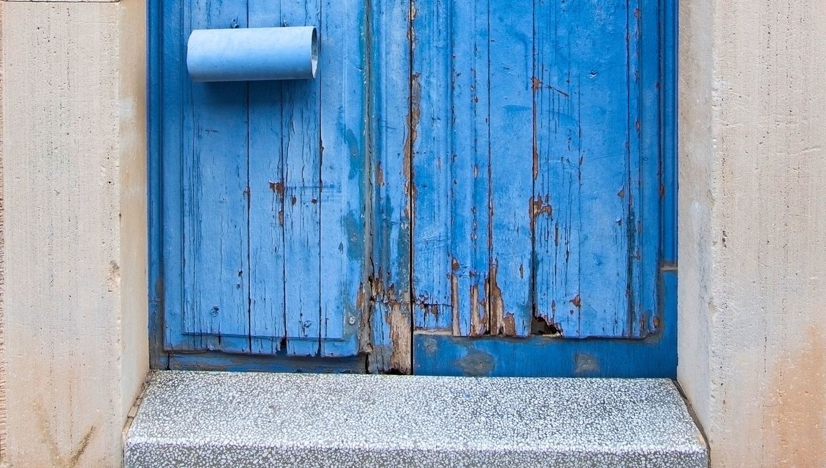 Las puertas se dañan por la humedad, plagas biológicas y golpes. Las puertas se dañan por la humedad, plagas biológicas y golpes. 