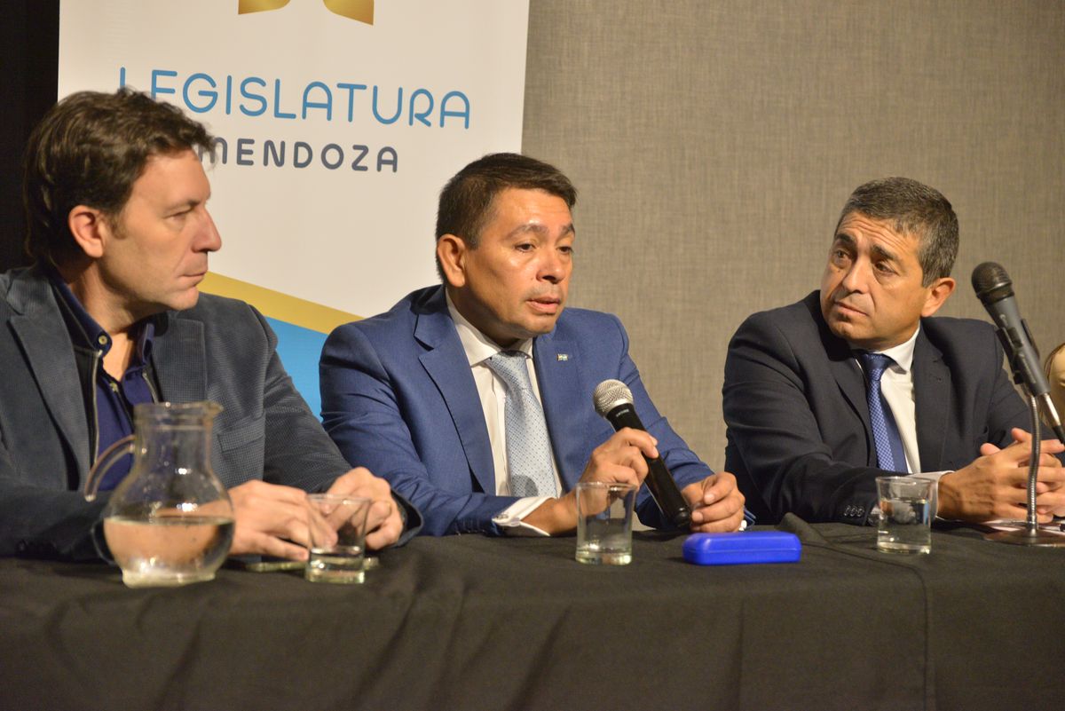 En la audiencia pública