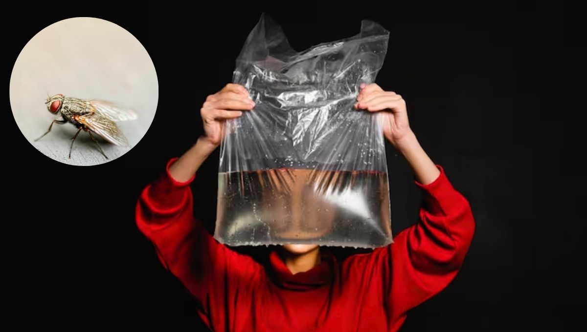 Este truco casero no solo es sencillo