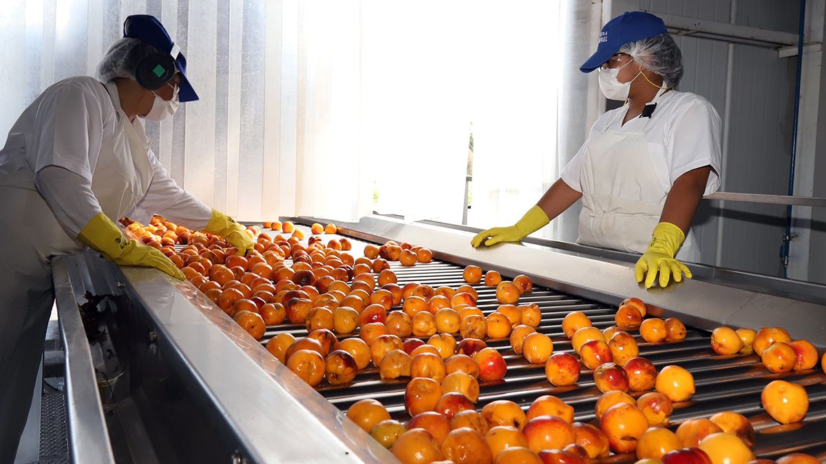 Las empresas beneficiadas por Mendoza Fiduciaria pertenencen a todos los oasis productivos de la provincia.