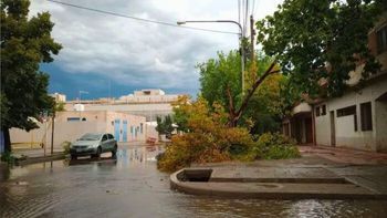 San Rafael declaró la emergencia climática tras las tormentas de enero San Rafael declaró la emergencia climática tras las tormentas de enero