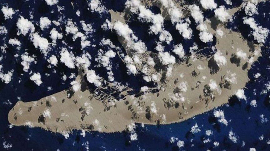 Peligro en el Pacífico: flota a la deriva una isla gigante de piedra pómez