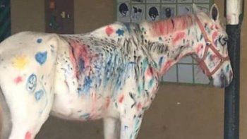 Indignación por niños que pintaron a un caballo como parte de una 