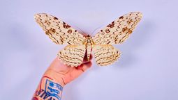 La mariposa más grande del mundo habita en Latinoamérica y asombra por su belleza