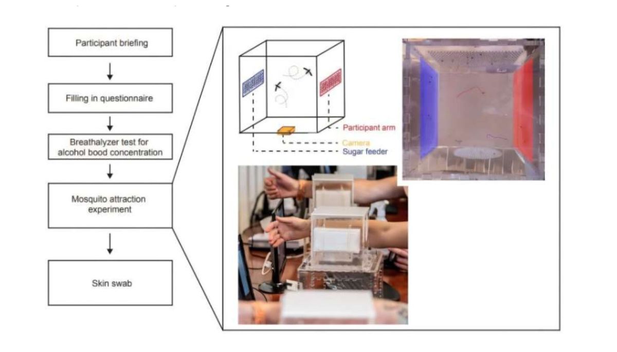 El resultado que publicó el grupo de investigadores. Imagen: biorxiv. El resultado que publicó el grupo de investigadores. Imagen: biorxiv.