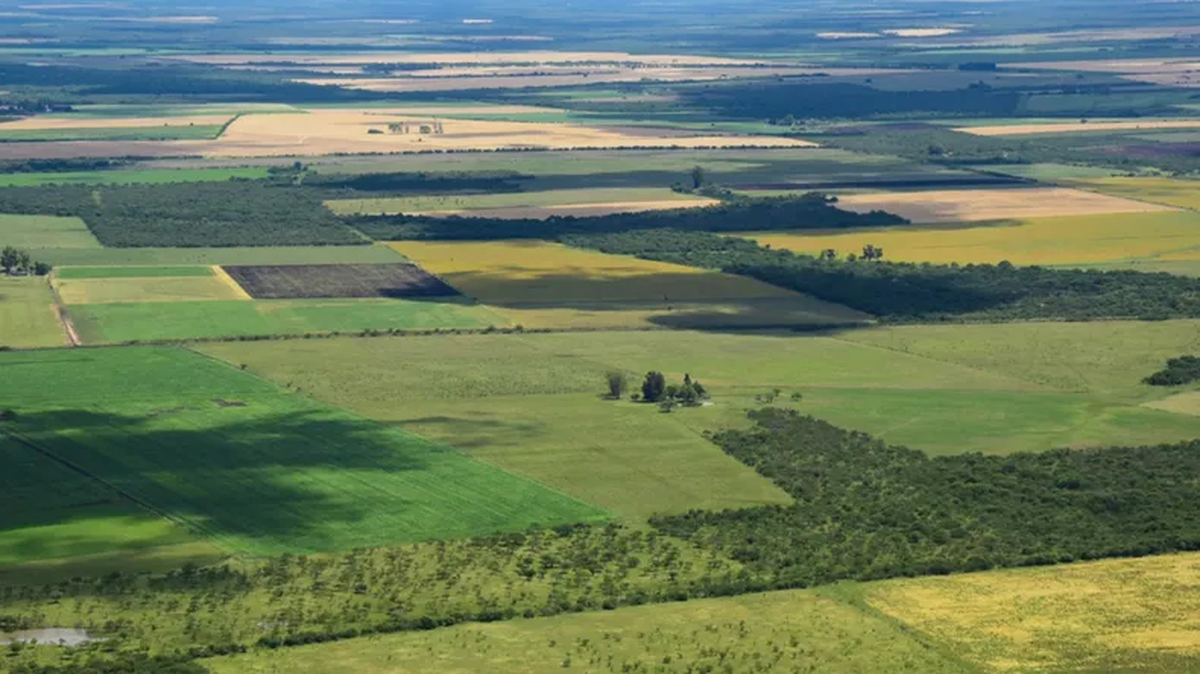 Ratifican La Vigencia De La Ley De Tierras Que Había Sido Derogada Por El Dnu De Milei 0011