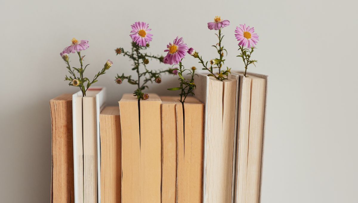 Con un estante de madera y un poco de elástico, aprendé a hacer una pequeña biblioteca flotante