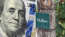 Nuevo dólar para exportaciones