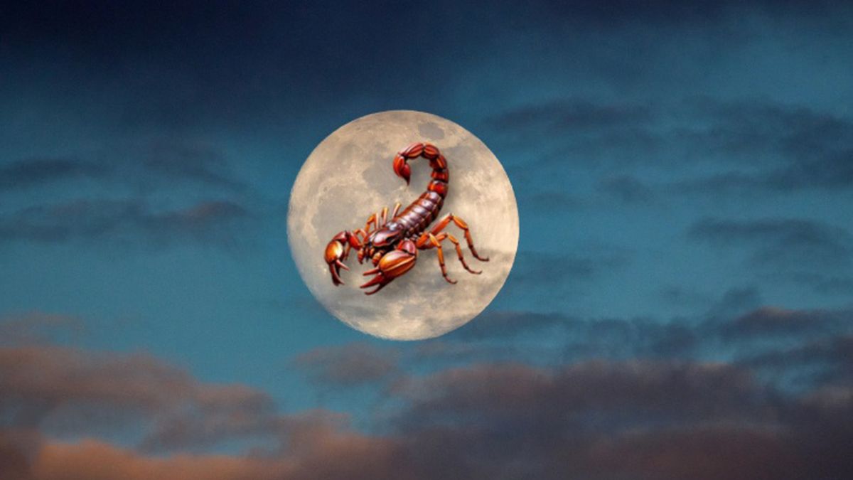 Astrología: las predicciones para los 12 signos del zodiaco por la Luna en Escorpio