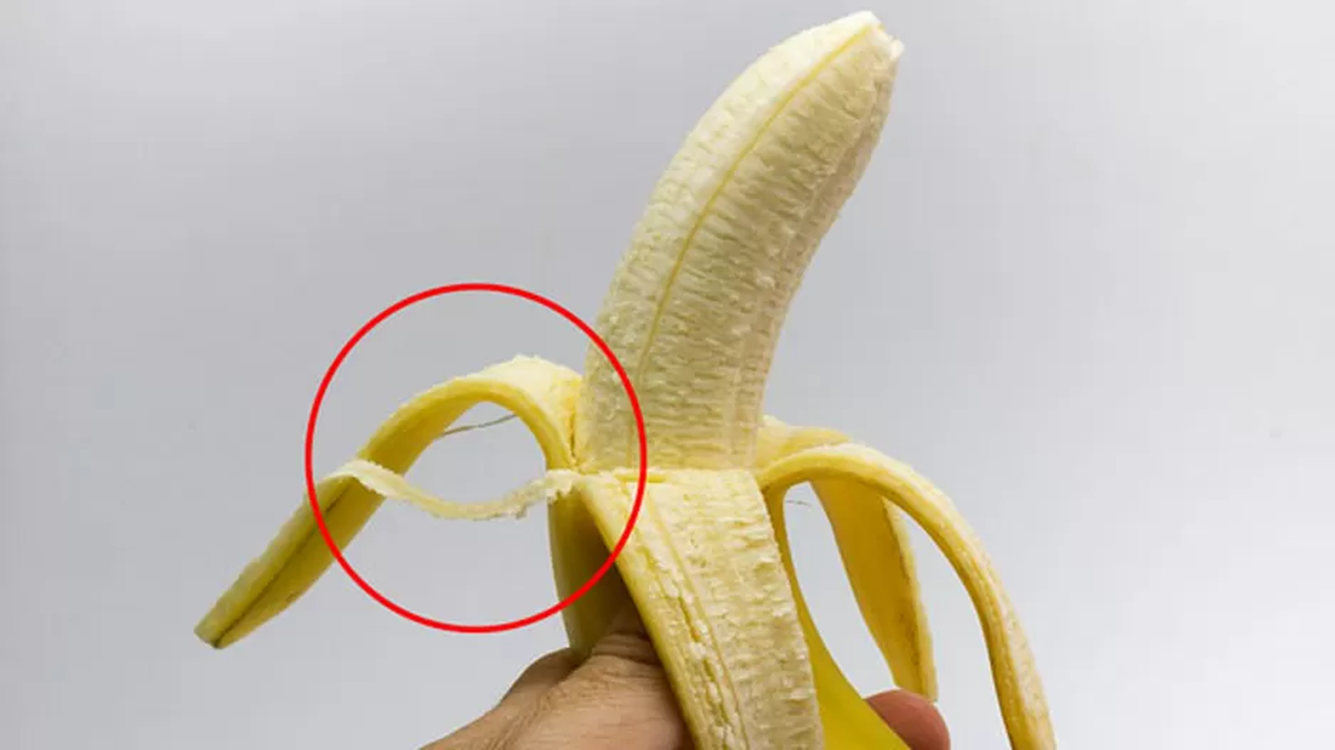 Los hilitos de la banana se denominan como floemas, y son una parte fundamental de la fruta Los hilitos de la banana se denominan como floemas, y son una parte fundamental de la fruta