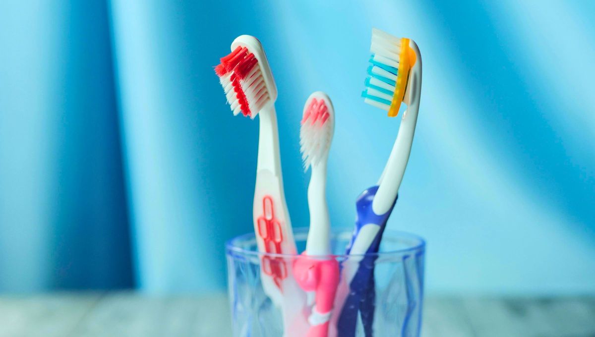Tener un cepillos de dientes viejo es tener un tesoro: para qué sirve ahora