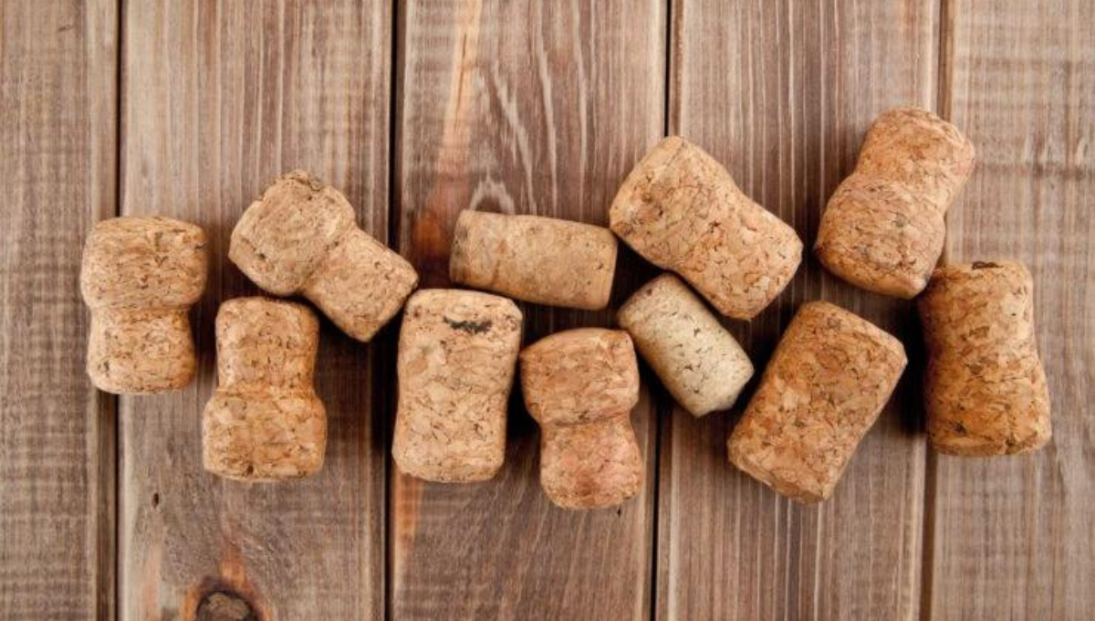 Para qué sirve meter un corcho en la heladera. Para qué sirve meter un corcho en la heladera.