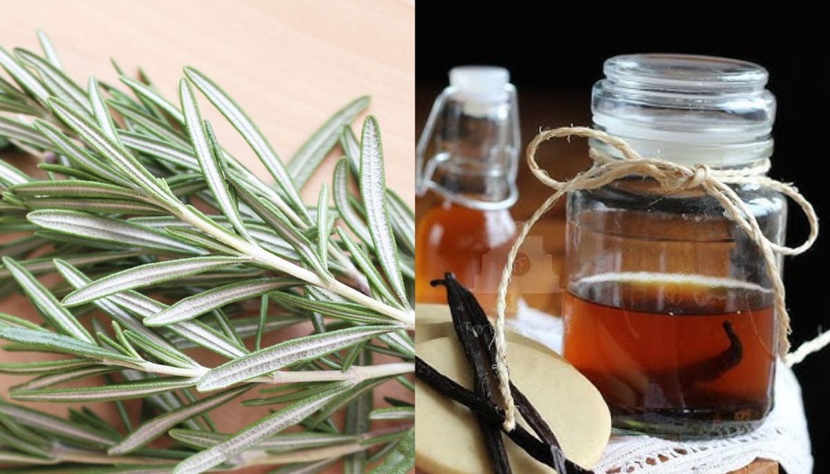 El romero y el extracto de vainilla son los ingredientes estrella de la preparación. El romero y el extracto de vainilla son los ingredientes estrella de la preparación.