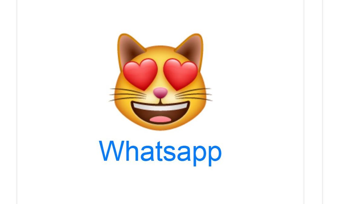 WhatsApp qu significa el gato con ojos de corazones