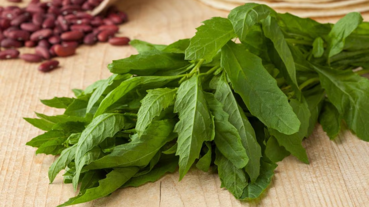 La hierba medicinal que tiene propiedades para distintos dolores.&nbsp;