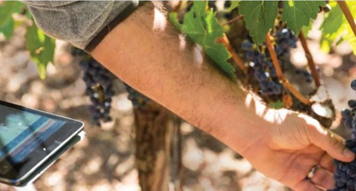 El objetivo de esta nueva app es acercar la oferta de bienes y servicios a productores vitivinícolas.