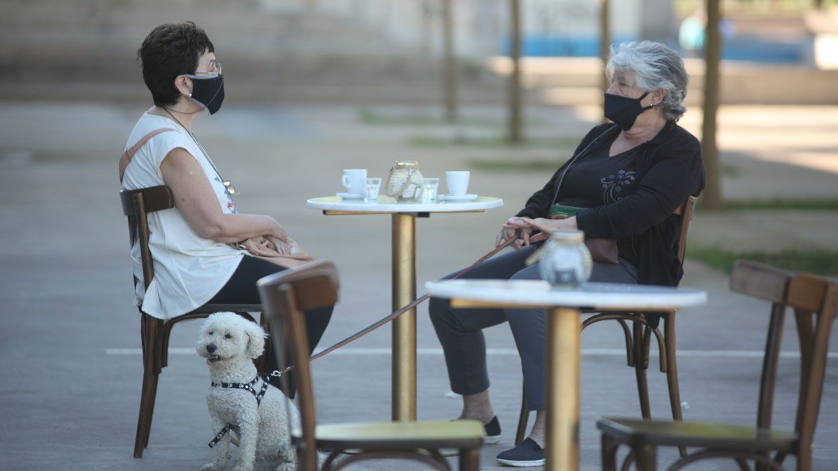 Coronavirus en Mendoza. Este jueves se reportaron 313 casos.