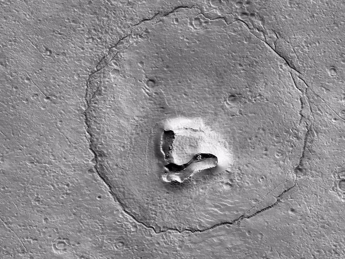 El descubrimiento de un "oso" en la superficie de Marte que deslumbró a los científicos de la NASA El descubrimiento de un "oso" en la superficie de Marte que deslumbró a los científicos de la NASA