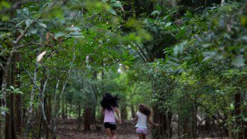 Ayahuasca, la bebida psicodélica en la Amazonia brasileña