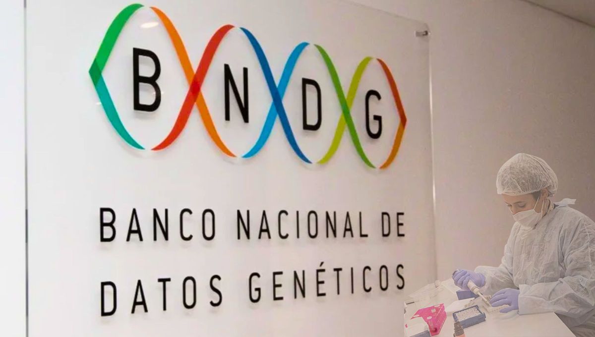 El Organismo se creó el 1 de junio de 1987. Fuente: Tiempo Argentino y Economis. El Organismo se creó el 1 de junio de 1987. Fuente: Tiempo Argentino y Economis.
