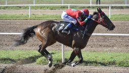 Vuelve el deporte hípico con un festival de carreras.