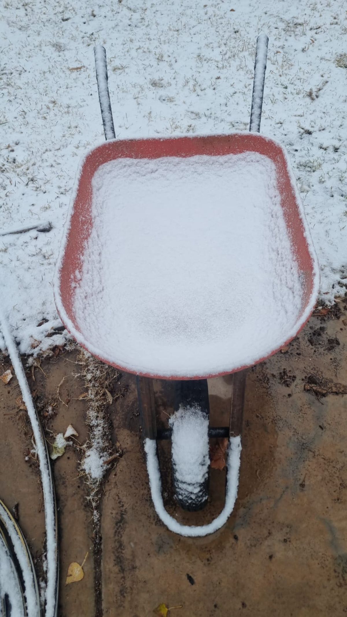 Impresionante. La carretilla llena de nieve. Impresionante. La carretilla llena de nieve.