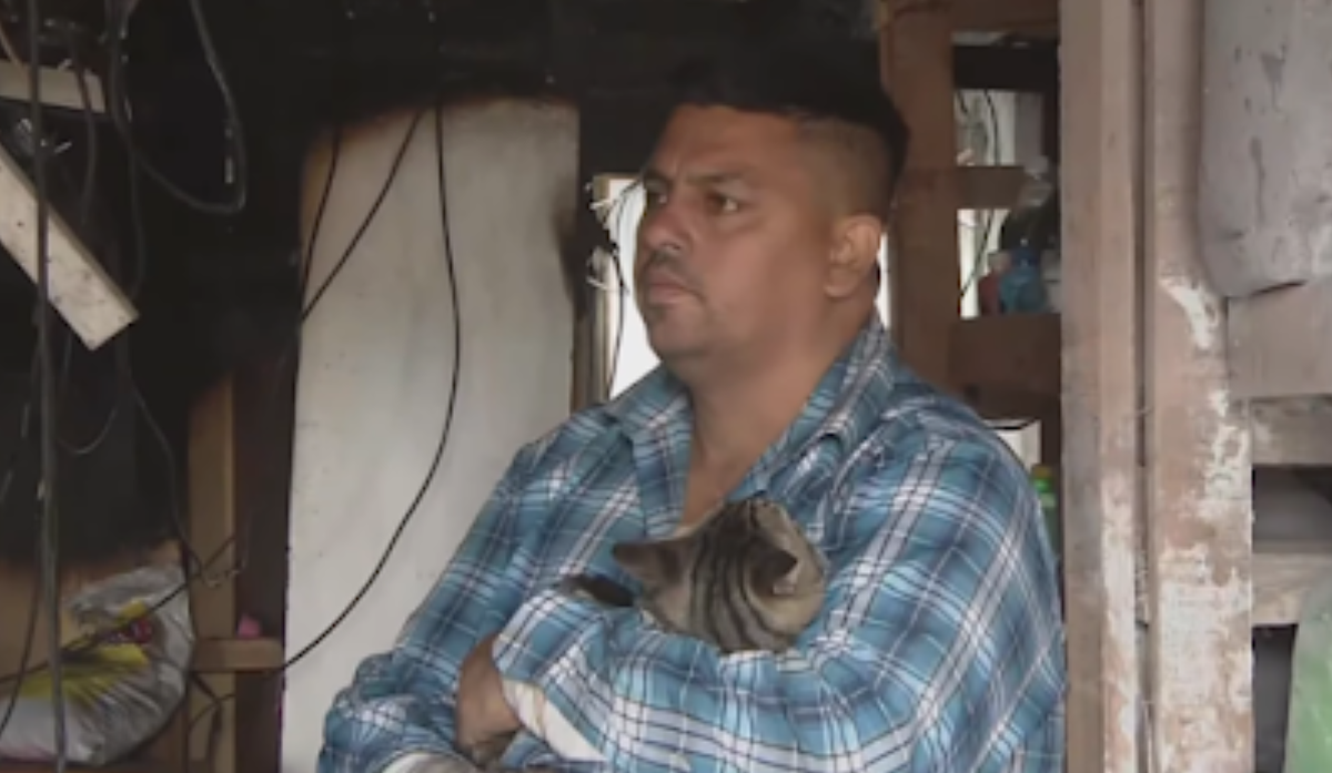 Fiel compañero. Un gato mordió a su dueño hasta que lo despertó mientras su casa se prendía fuego.  Fiel compañero. Un gato mordió a su dueño hasta que lo despertó mientras su casa se prendía fuego.