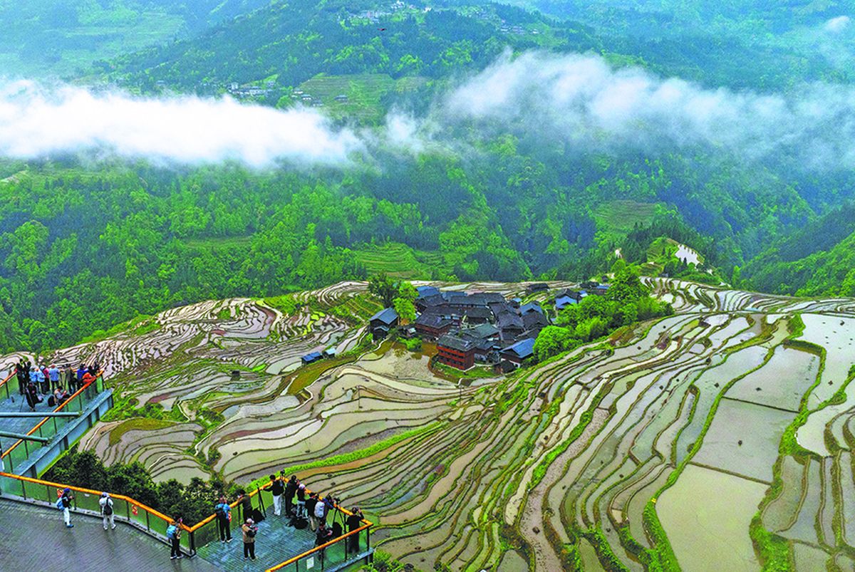 Visitantes intentan obtener una vista panorámica del área escénica de los campos en terrazas de Jiabang, en Congjiang. WU DEJUN / PARA CHINA DAILY. Visitantes intentan obtener una vista panorámica del área escénica de los campos en terrazas de Jiabang, en Congjiang. WU DEJUN / PARA CHINA DAILY.
