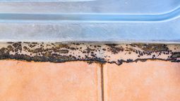 Paso a paso para reemplazar la goma del baño.