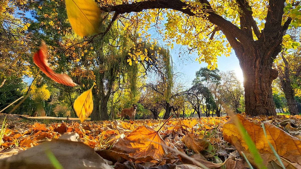 Este será un típico fin de semana de otoño, según muestra el pronóstico del tiempo.&nbsp;