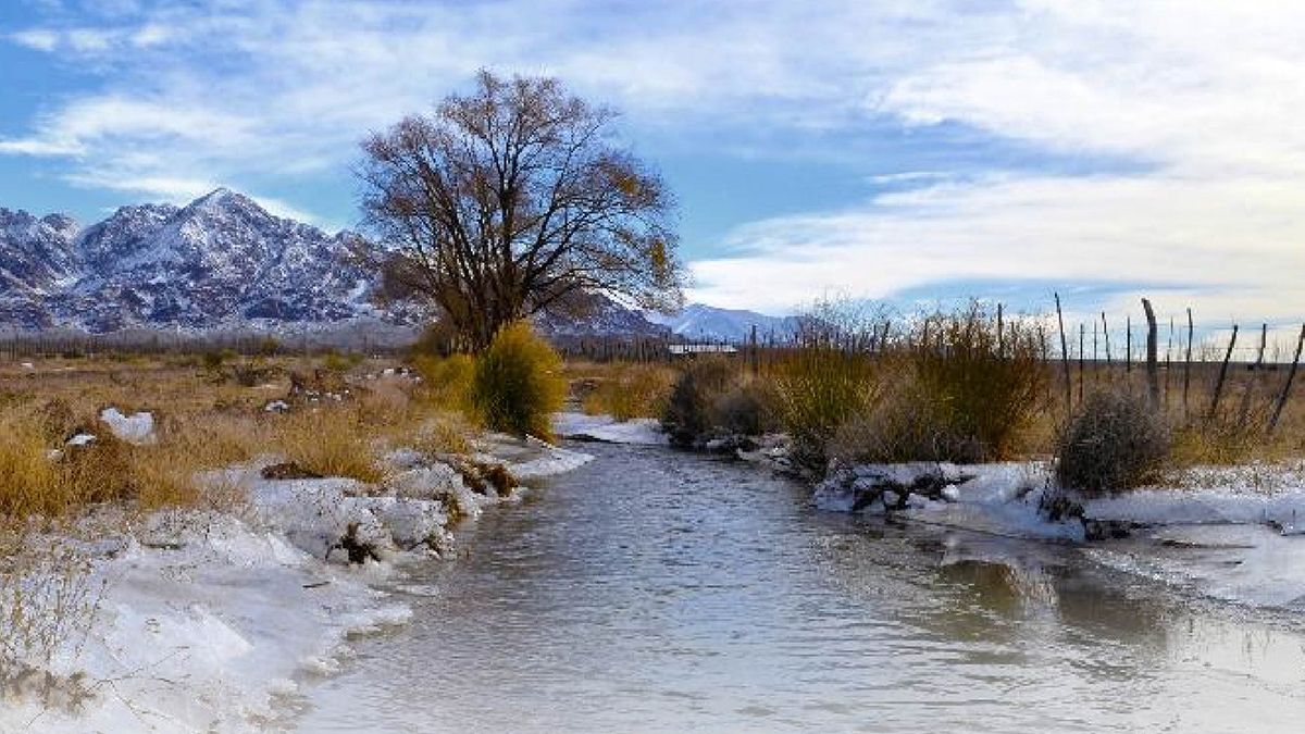 La Universidad de Congreso anuncia la XXIV Edición de la Mención al Compromiso Ambiental, reconociendo proyectos y acciones por el cuidado del ambiente y el desarrollo sostenible.
