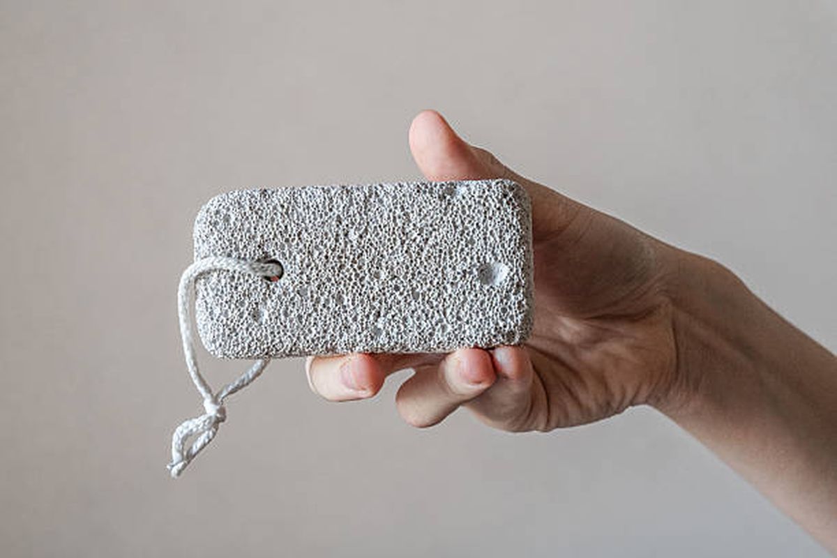 Descubr&iacute; los beneficios de la piedra p&oacute;mez sobre la sansevieria.