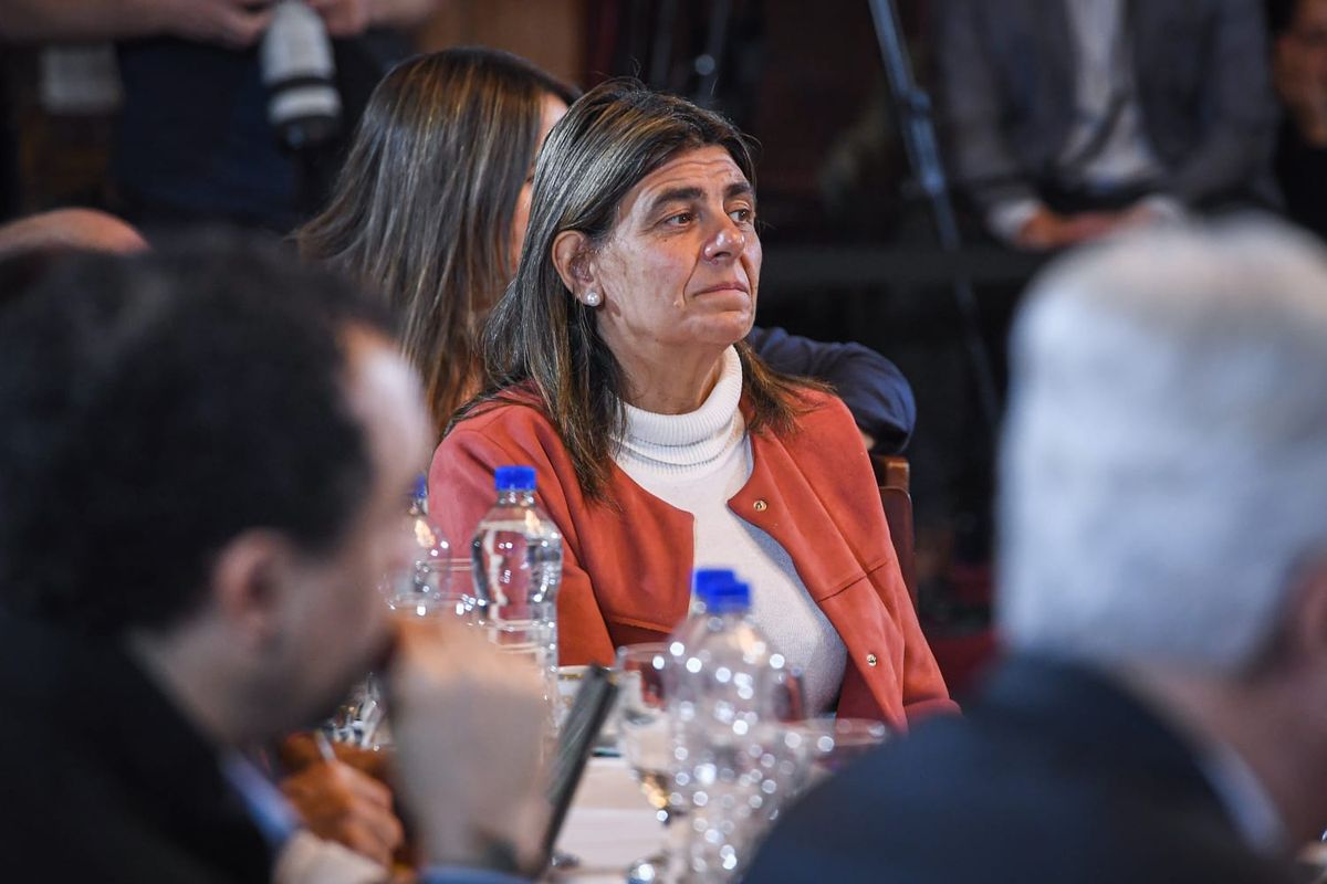 La senadora nacional por Mendoza de la UCR La senadora nacional por Mendoza de la UCR