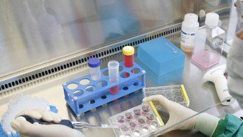 Banco de ADN: aspiran a que los datos de todo el país queden integrados