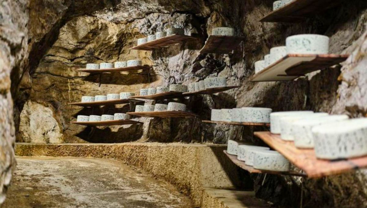 Solo puede llevar el nombre de roquefort el queso elaborado en ciertas condiciones y en determinado espacio geográfico. Solo puede llevar el nombre de roquefort el queso elaborado en ciertas condiciones y en determinado espacio geográfico. 