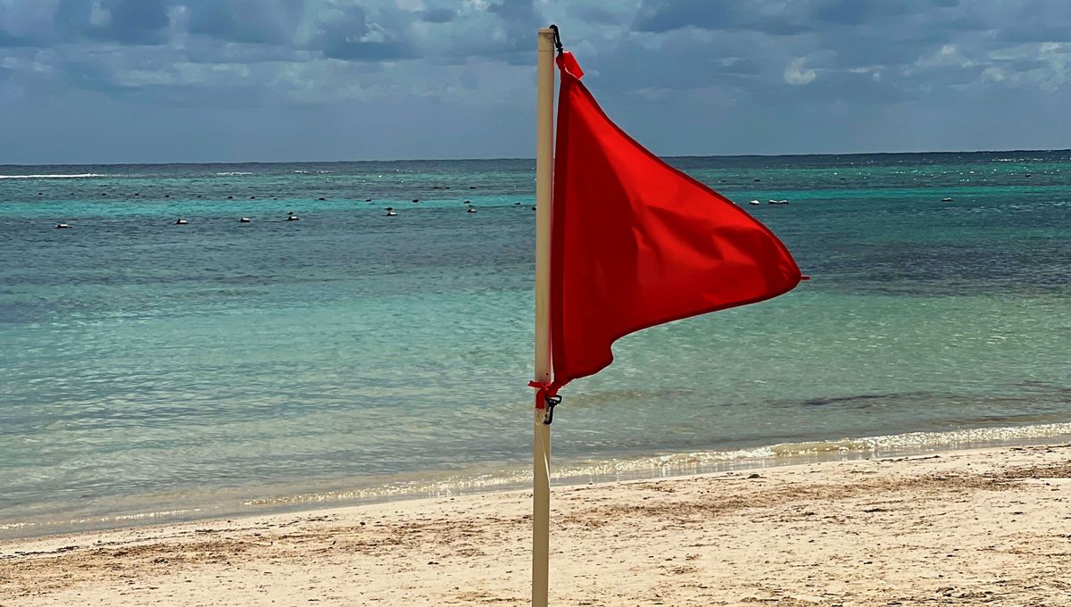 Es importante prestar atención a las banderas e indicaciones de los guardavidas en la playa. 