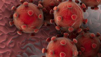 Alerta en Brasil: 16 posibles enfermos de coronavirus