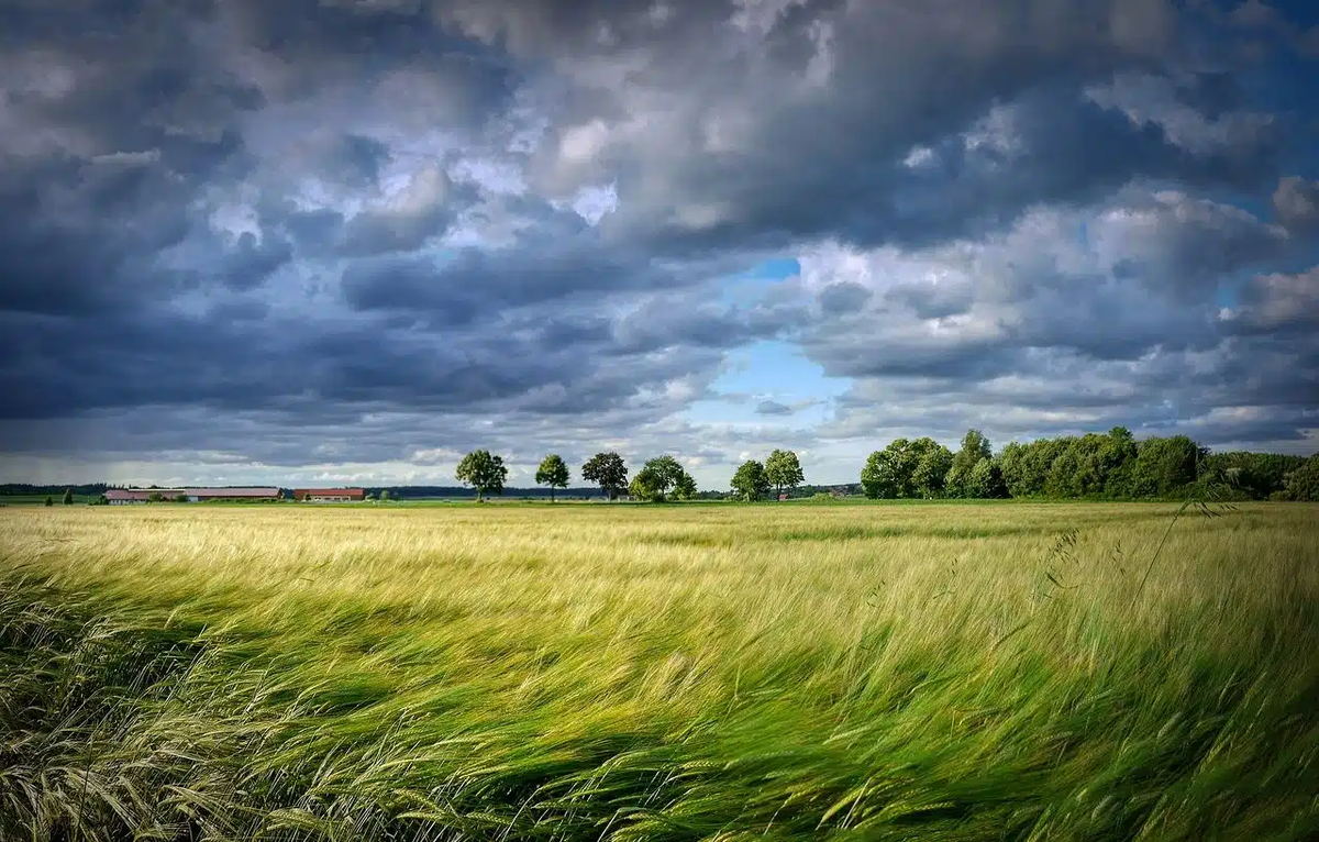 Evita salir durante un alerta Evita salir durante un alerta
