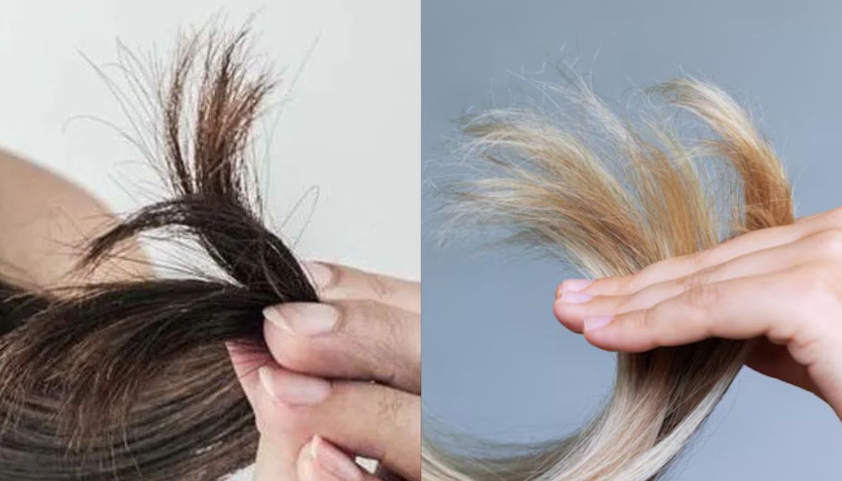 Cuando bajan las temperaturas y el fr&iacute;o se impone, el cuero cabelludo se seca y el cabello se vuelve m&aacute;s fr&aacute;gil.