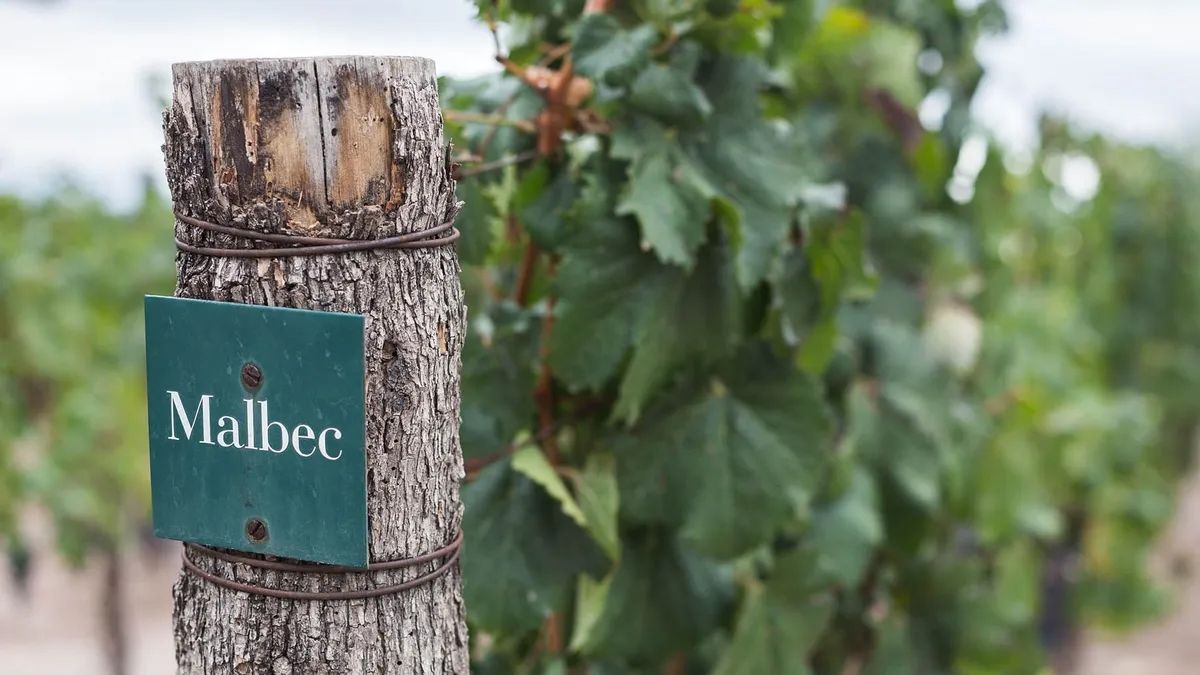 Sube el precio del vino por falta de botellas y el cepo a las importaciones Sube el precio del vino por falta de botellas y el cepo a las importaciones