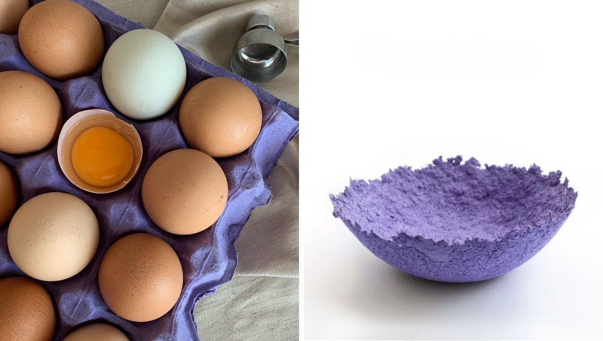 Con el cartón de huevo puedes hacer una pasta, ideal para manualidades. Con el cartón de huevo puedes hacer una pasta, ideal para manualidades. 