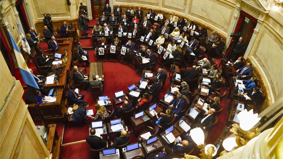 El Senado ya discute proyectos presupuestarios para universidades y hospitales pediátricos.