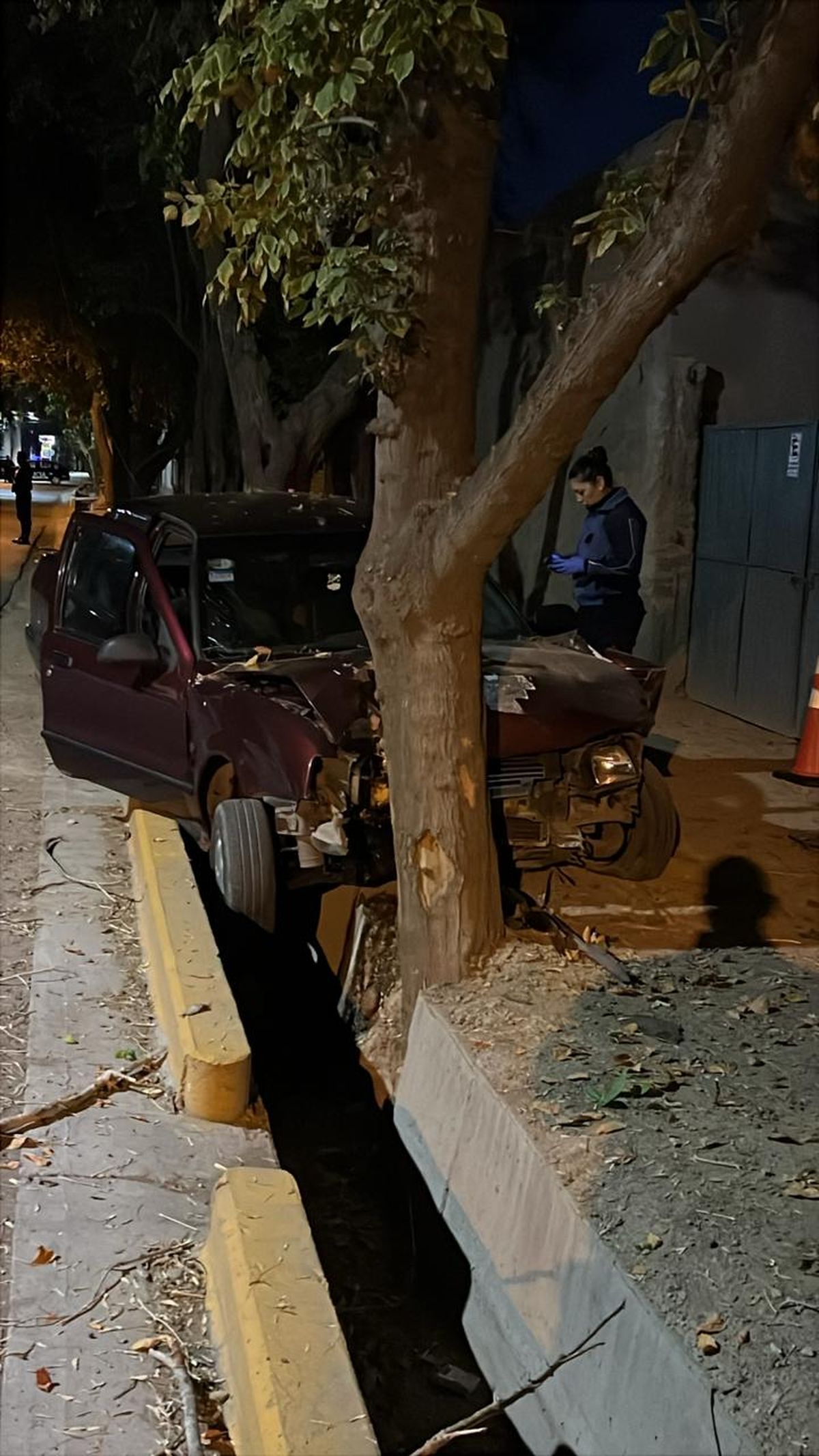 El Renault 19 dio de lleno contra un árbol. El Renault 19 dio de lleno contra un árbol.