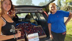 Treinta voluntarios mendocinos rescatan alimentos para comedores