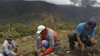 Los expertos piden que la naturaleza tenga un rol en la adaptación al clima