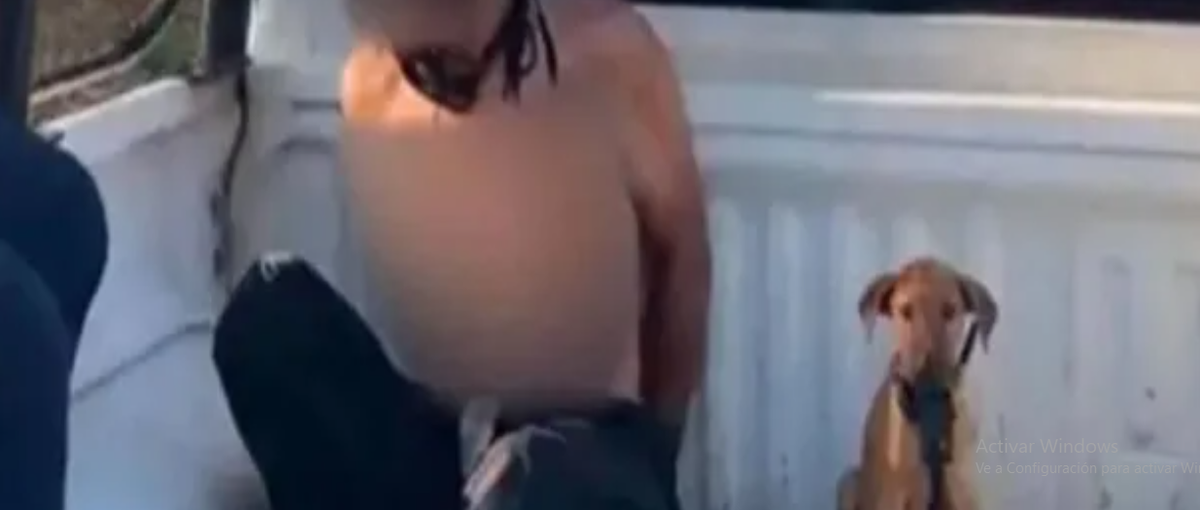 Amigo fiel. Lo detuvo la Policía y su perro lo acompañó en el patrullero.