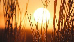 El tiempo en Mendoza hoy: el pronóstico indica un lunes de mucho calor pero se viene un fuerte descenso de la temperatura